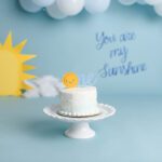 Harleysville Pennsylvania cake smash photography