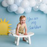 Harleysville Pennsylvania cake smash photography