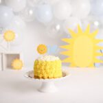 Harleysville Pennsylvania cake smash photography
