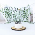 Harleysville Pennsylvania cake smash photography